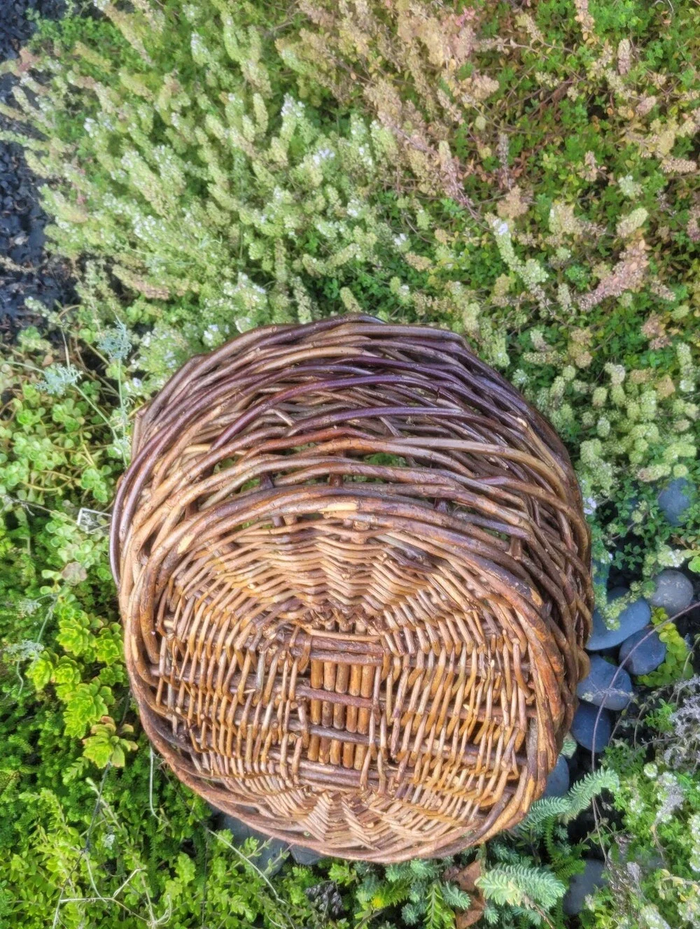 Large Dark Willow Gathering Basket with Arched Twisted Handle Handmade Vintage